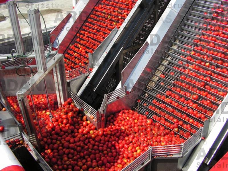 Tomato processing